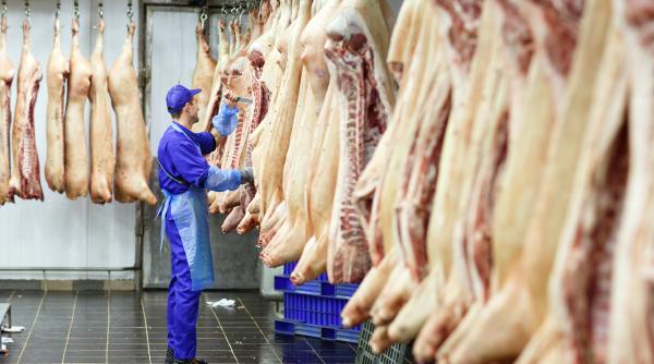 Producția de carne în România, iulie 2025: evoluții diferite pe categorii, arată datele INS