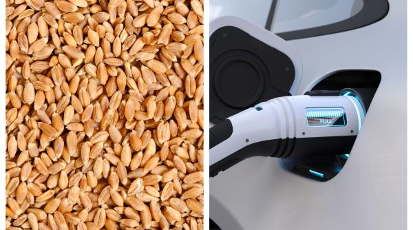 Înapoi la troc: Rusia schimbă grâu pe mașini chinezești pentru a evita sancțiunile