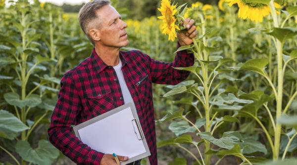 Ministerul Agriculturii prelungește termenul pentru modificarea cererilor de plată APIA