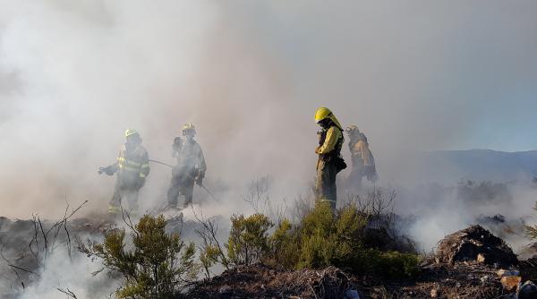 Vara 2025, cea mai poluată din ultimele decenii din cauza incendiilor