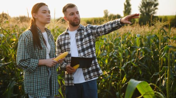 Ordin comun Finanțe – Agricultură privind TVA-ul la îngrășăminte și pesticide