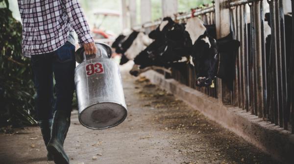 Fermierii, sub lupa ANAF: primăriile vor transmite toate datele despre atestate și animale