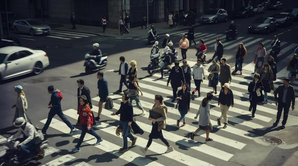 România cu două viteze: salarii mari în IT și finanțe, mici în HoReCa și agricultură