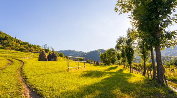 Schimbare majoră pentru români: Eliminarea şi înlocuirea sintagmei "titlu de proprietate", pe agenda Senatului