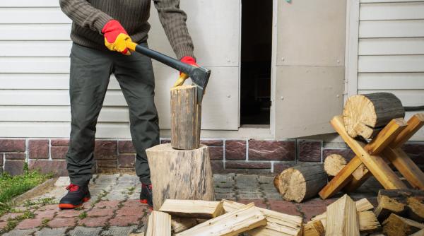 Romsilva lansează magazin online pentru achiziția de lemn de foc