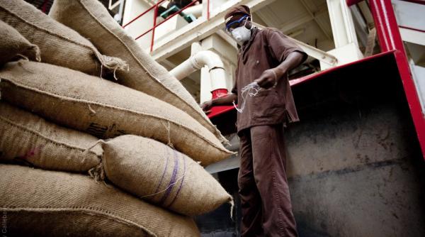 Criză la „furnizorul din umbră” al industriei ciocolatei: colosul elvețian se clatină