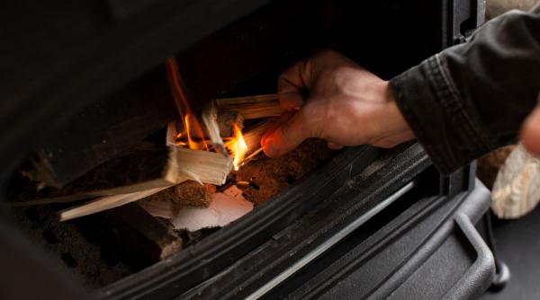 Preţ plafonat la 400 lei/mc pentru lemnul de foc. Document din Parlament