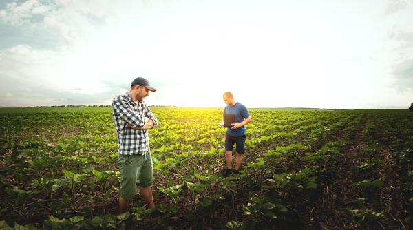 Plata rentei viagere agricole 2024: APIA finalizează autorizările și anunță termenul limită pentru moștenitori