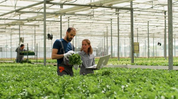 Ajutorul pentru sere și solarii, mai ușor de obținut! Reguli, modificate