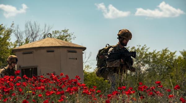 Mutare periculoasă a sursei mondiale de heroină. Pakistanul și Iranul au intrat în scenă