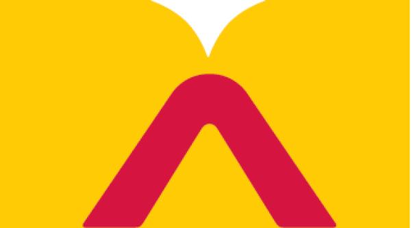 Altex cumpără reţeaua Bricostore