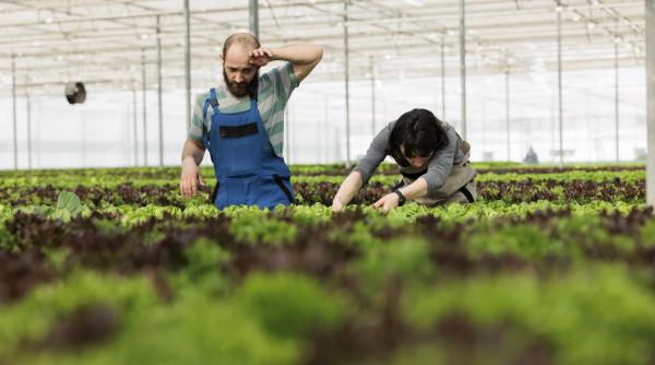 25 de milioane de euro sprijin pentru fermierii români