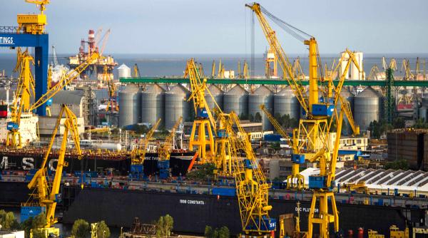 Prețurile grâului scad puternic pe bursele internaționale. Ce înseamnă asta pentru România