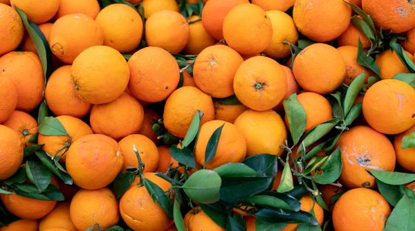 Reguli noi la raft pentru citrice. Românii vor şti pe ce dau banii atunci când cumpără portocale sau lămâi
