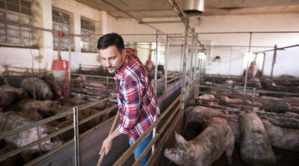 Sindicatul Salariaţilor din Ministerul Agriculturii cere respingerea acordului Mercosur