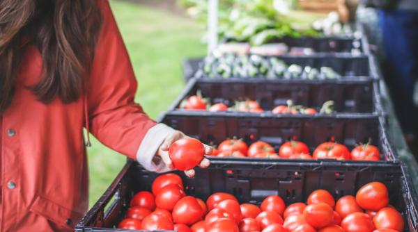 Negrescu: Avem roșii din Albania pe rafturi, iar producătorii români aruncă marfa