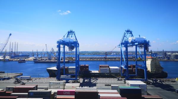 Mercosur și India: oportunitate sau capcană. Negrescu: Cumpărăm ieftin, pierdem pe termen lung