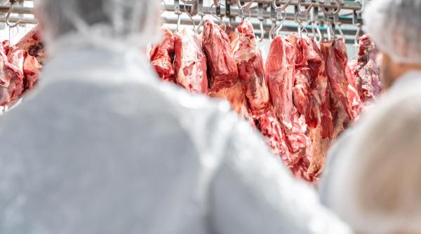 Cu cât se vinde carnea de porc la poarta fermei. Crescătorii români de animale, în pragul falimentului