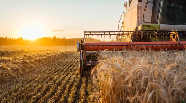 "Performanţa României deranjează". Ministrul Florin Barbu, detalii despre producţia agricolă a ţării