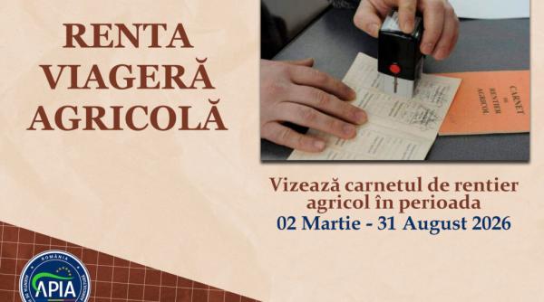 Termen-limită pentru renta viageră. Ce trebuie să facă rentierii