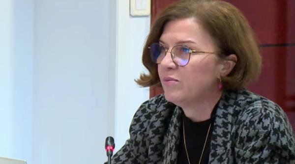 Daniela Dărăban avertizează: Piața energiei, blocată de deciziile statului