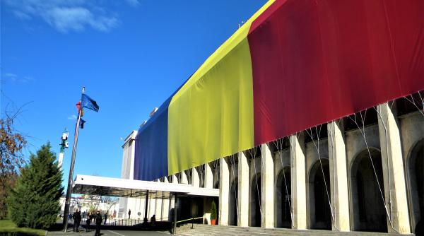 Guvernul decide soarta a 22 de companii: fuziuni, falimente și salvări