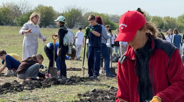 Cum finanțează AFM o generație mai responsabilă: 260 de elevi au plantat o viitoare pădure