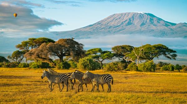 Vacanțe exotice la un nou nivel: Paralela 45 aduce Dreamliner pe piața românească