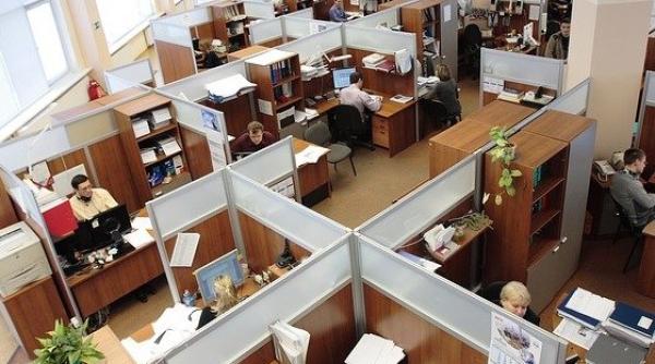 Radiografia tăierilor la stat - Ministerul Energiei fuge de răspuns