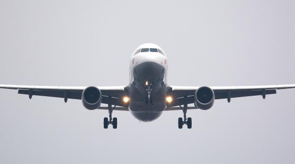 Premieră pentru România: Primul transport aerian cargo cu ovine a ajuns în Algeria în doar 2 ore și jumătate