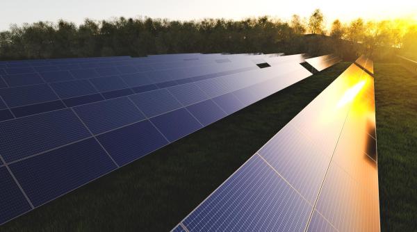 Paradoxul fotovoltaic: Ziua în care România a produs energie record, dar a plătit facturi duble