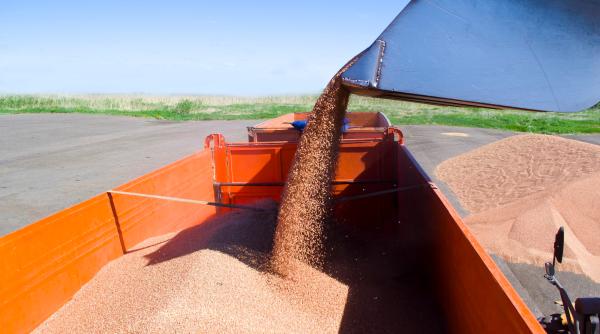Comerțul global cu îngrășăminte a scăzut cu 30% din cauza războiului din Iran