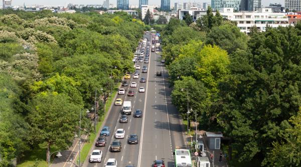 Piața auto frânează puternic. Înmatriculările de mașini noi au scăzut cu 28% în iulie