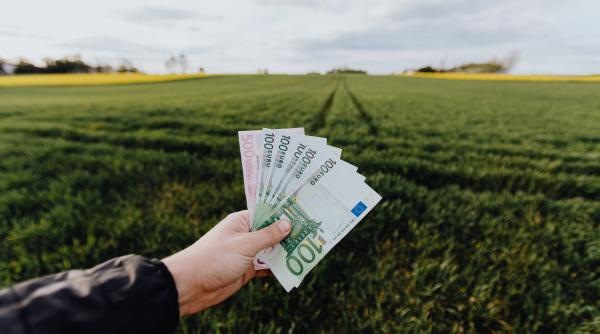 Ministerul Agriculturii deschide, din 1 septembrie, două noi linii de finanțare, cu un buget total de 113 milioane de euro