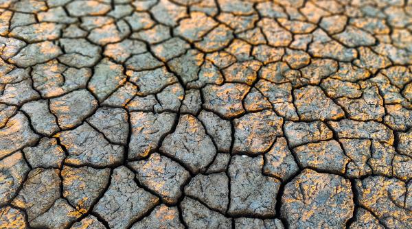 Alertă pentru agricultori. Seceta pedologică se extinde