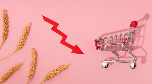 Comerțul cu ridicata a intrat pe minus. Afacerile cu produse agricole s-au prăbușit cu peste 20%