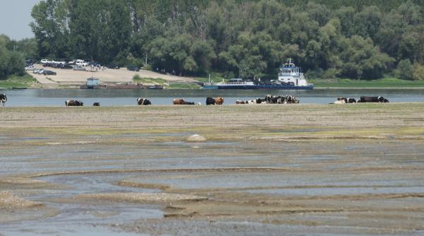 Dunărea a coborât sub cel mai sever scenariu luat în calcul. Planul extrem pentru salvarea răcirii de la Cernavodă