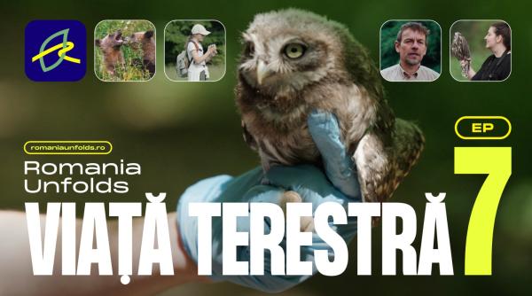 Natura și oamenii pot coexista. Romania Unfolds lansează un nou episod dedicat biodiversității