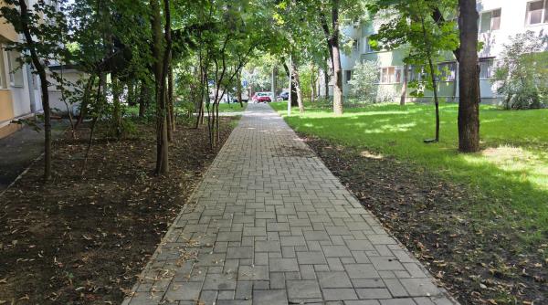 De ce a rămas o parte a cartieului Pajura fără garduri vii. Amenajarea de 1,5 milioane de lei care a gonit fauna