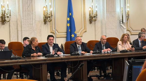 Soluții propuse de Dumitru Chisăliță după oprirea reactoarelor de la Cernavodă