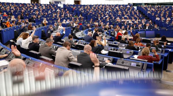 Eurodeputații români și bulgari, front comun. Se cere accelerarea asigurării securitîții la Marea Neagră