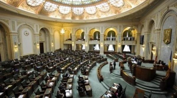 Senatorii pun piedică amnistiei fiscale. Ce urmează
