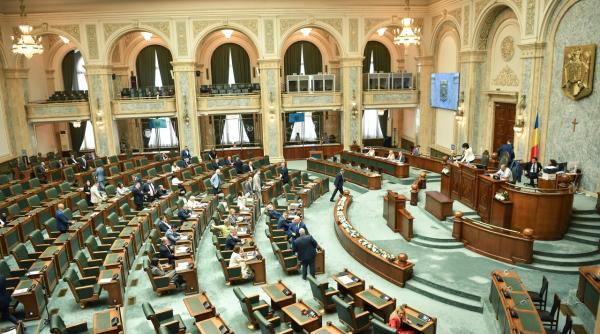 Senatorii pun piedică amnistiei fiscale. Ce urmează